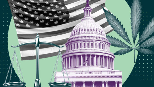 Support the MORE Act