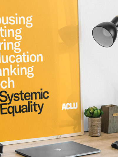 A picture of ACLU's systemic equality poster framed and placed on top of a desk.