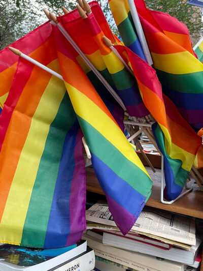 A group of rainbow flags arranged among a pile of books.