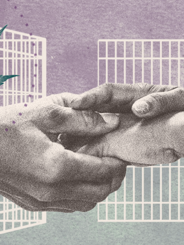 Marijuana leaf with holding hands