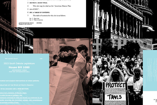 Protect Trans Youth - Bills and Protestors