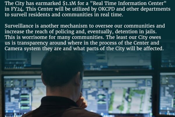 Flock camera survelliance