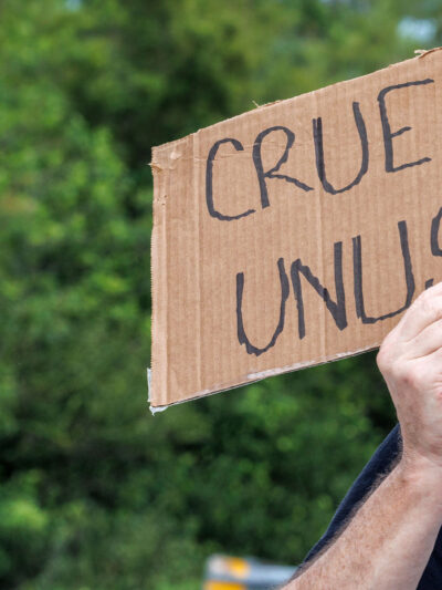 A road sign that says Alligator Alcatraz and an individual in front of it holding a sign that says "Cruel and Unusual."