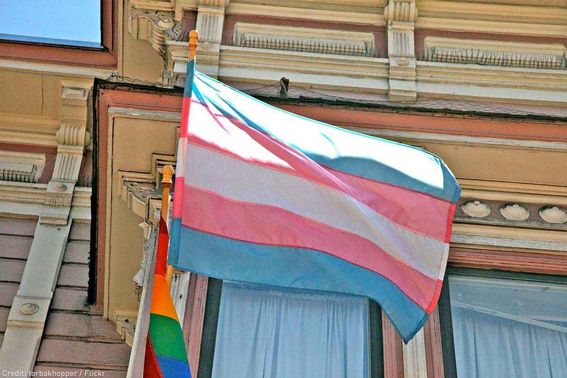 Trans pride flag.